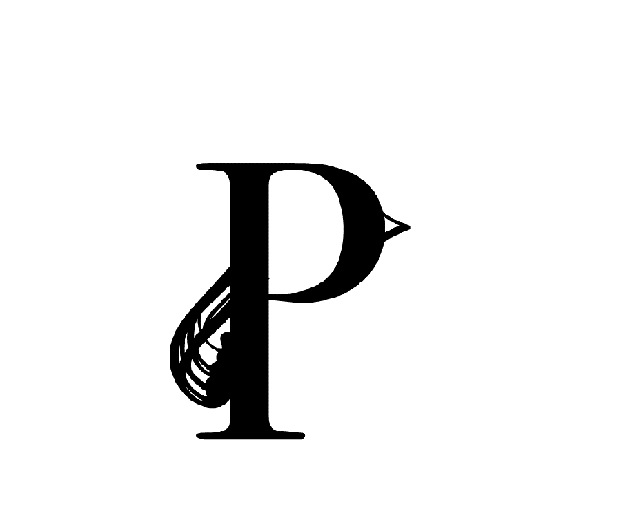 animation Mots animaux éditon Buchet Chastel - design ichetkar