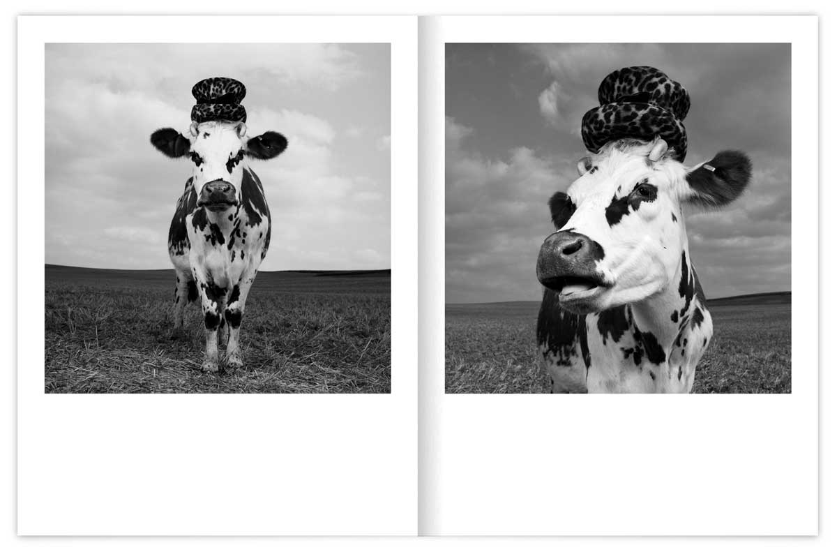 oh-la-vache-catalogue-Mondino-02_IchetKar