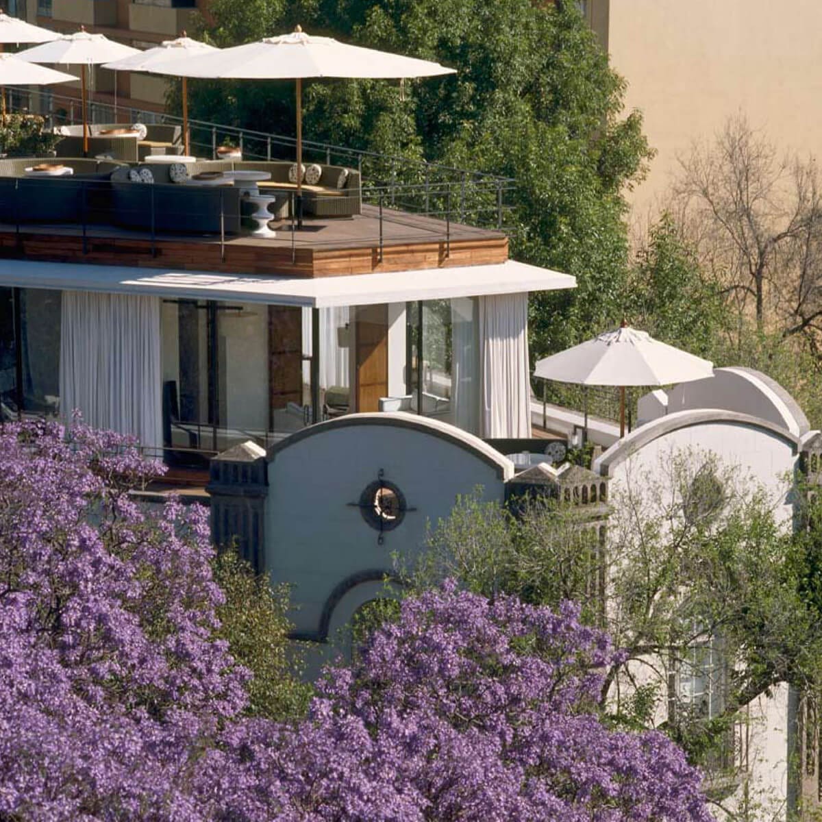 Condesa-df-india-mahdavi-ichetkar_
