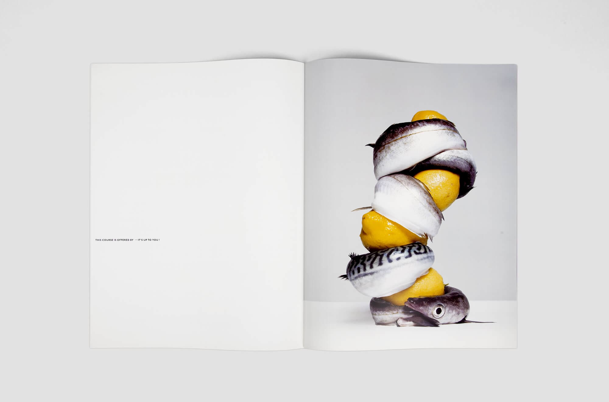 Ich et kar imagine un livre hor du commun, this course is offered by its up to you, série de photographies d’Erwann Frotin, qui immortalise les fantaisies culinaires réalisées par Prosper et Fortunée sous la direction de Pierre Gagnaire