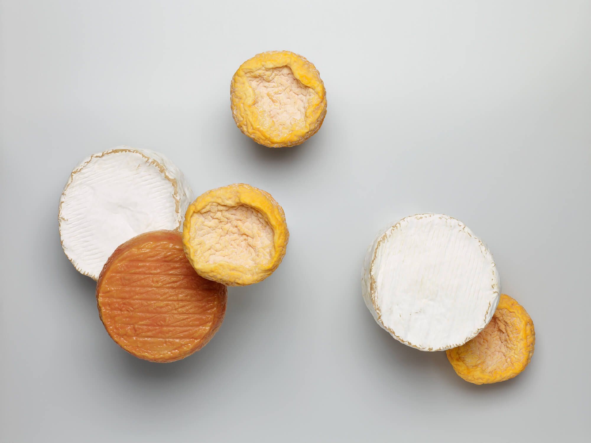 Photos de fromages sous la direction artistique d'IchetKar et les photographes Tania et vincent