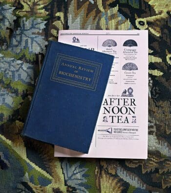 Pour le Parlour, Ich&Kar créé des menus un je ne sais quoi surréaliste. Le Parlor est un des 5 lieux du sketch