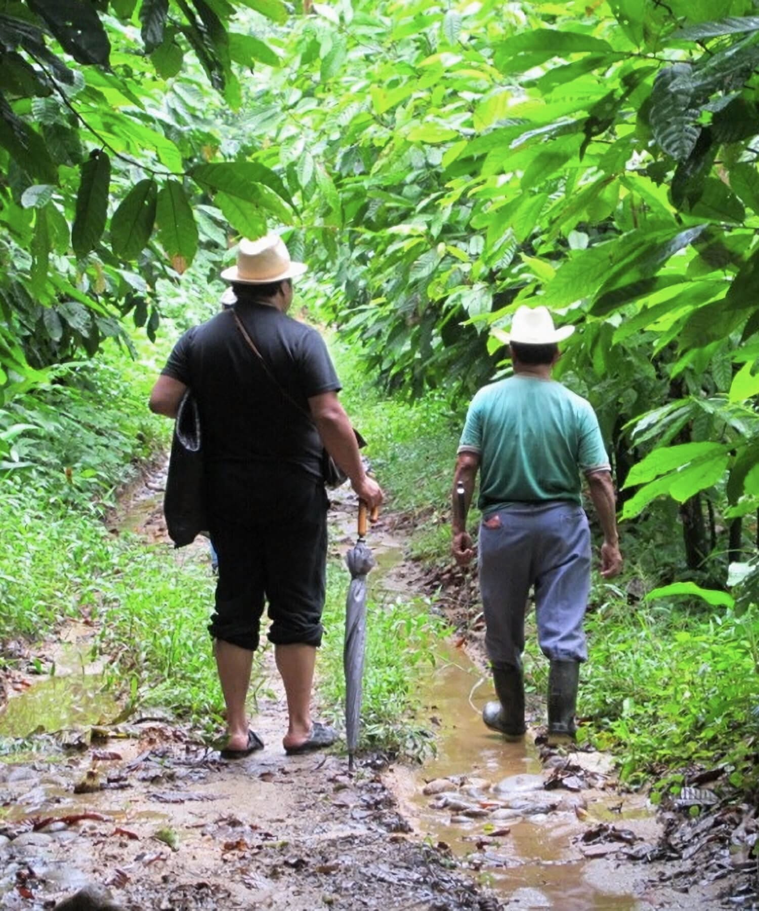 Hector Galvan pour la marque Casa Tropical