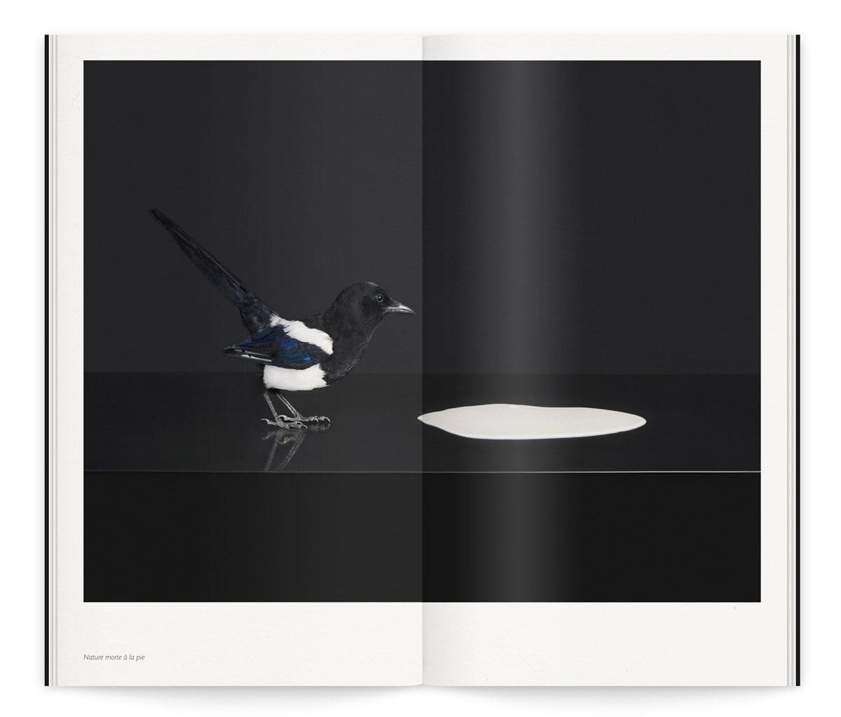 Catalogue de l'exposition Lac de Colombe Clier qui revisite des tableaux emblématiques de l’histoire de l’art en mettant en scène la puissance attractive et irrésistible du lait pour la Milk Factory, design Ich&Kar