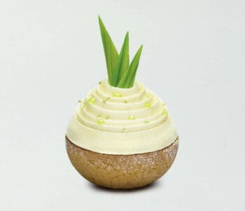 Photographiés comme des bijoux, Jean Jacques Pallot capture l'essence des gâteaux de chefs dans leur plus simple appareil, sur demande d'Ichetkar.