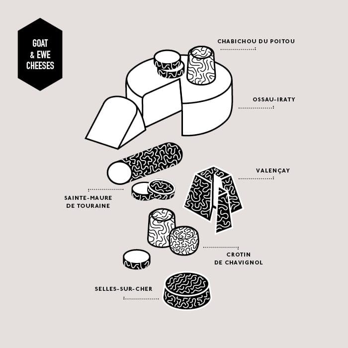 french_cheese_board_got_and_ewe_cheeses_ichetkar