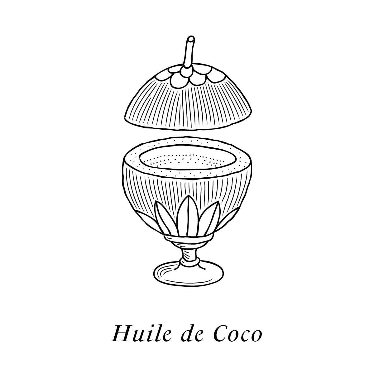 L'huile de coco dessiné par IchetKar, un des actifs du soin 100% non toxique et issu à 99% de source naturelle.