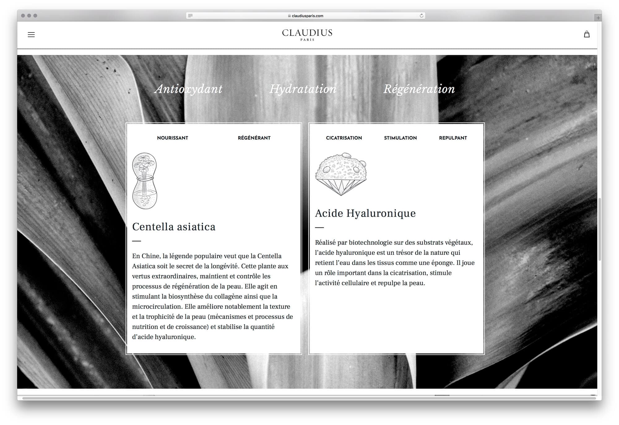 Site internet de Claudius, page histoire la marque et de sa fondatrice Sophie Guillou, design par Ichekar