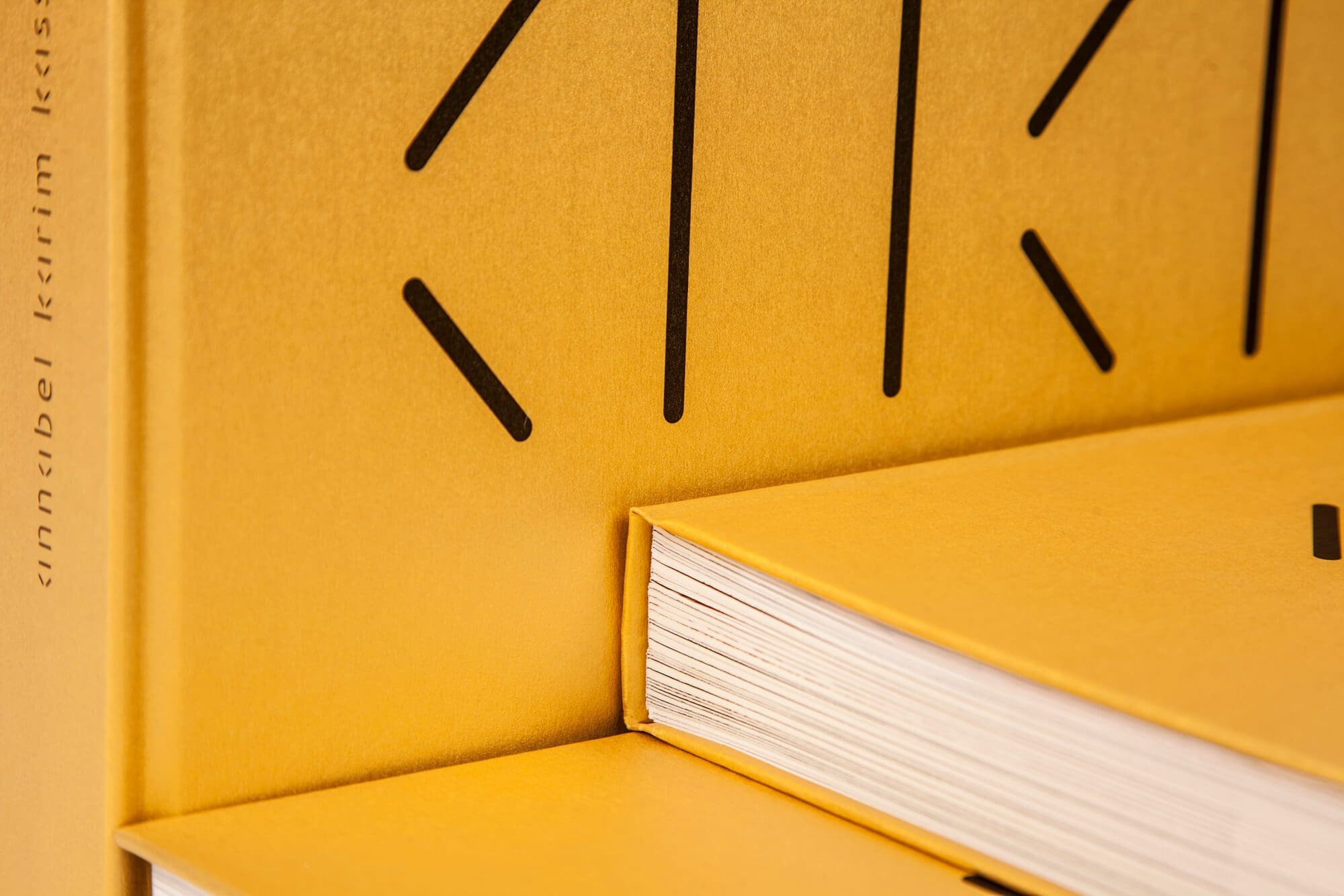 détails du livre, une reliure soignée et un beau papier doré