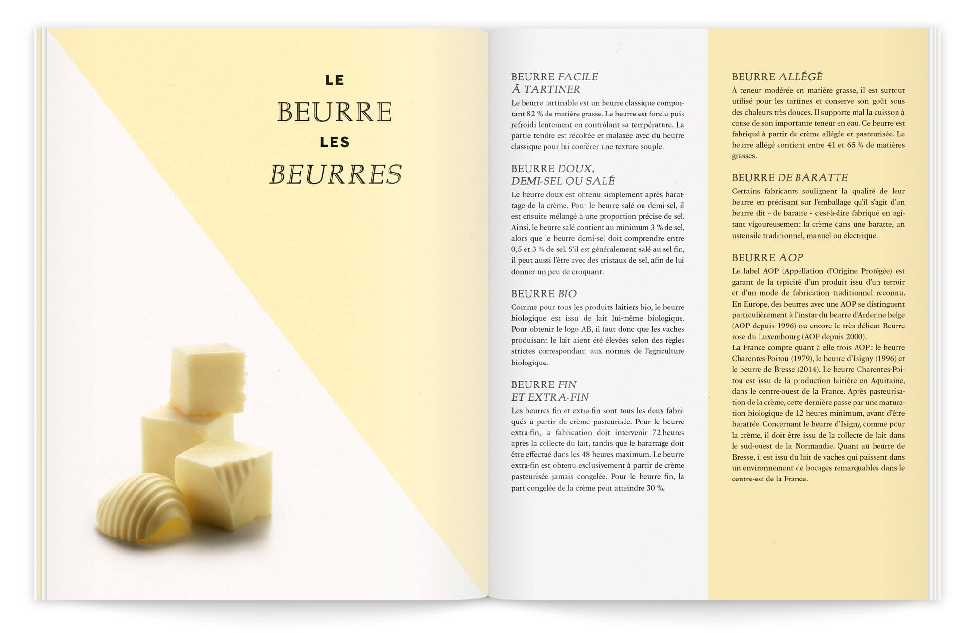 aplat de couleur, et graphisme géométrique pour une mise en page originale et élégante