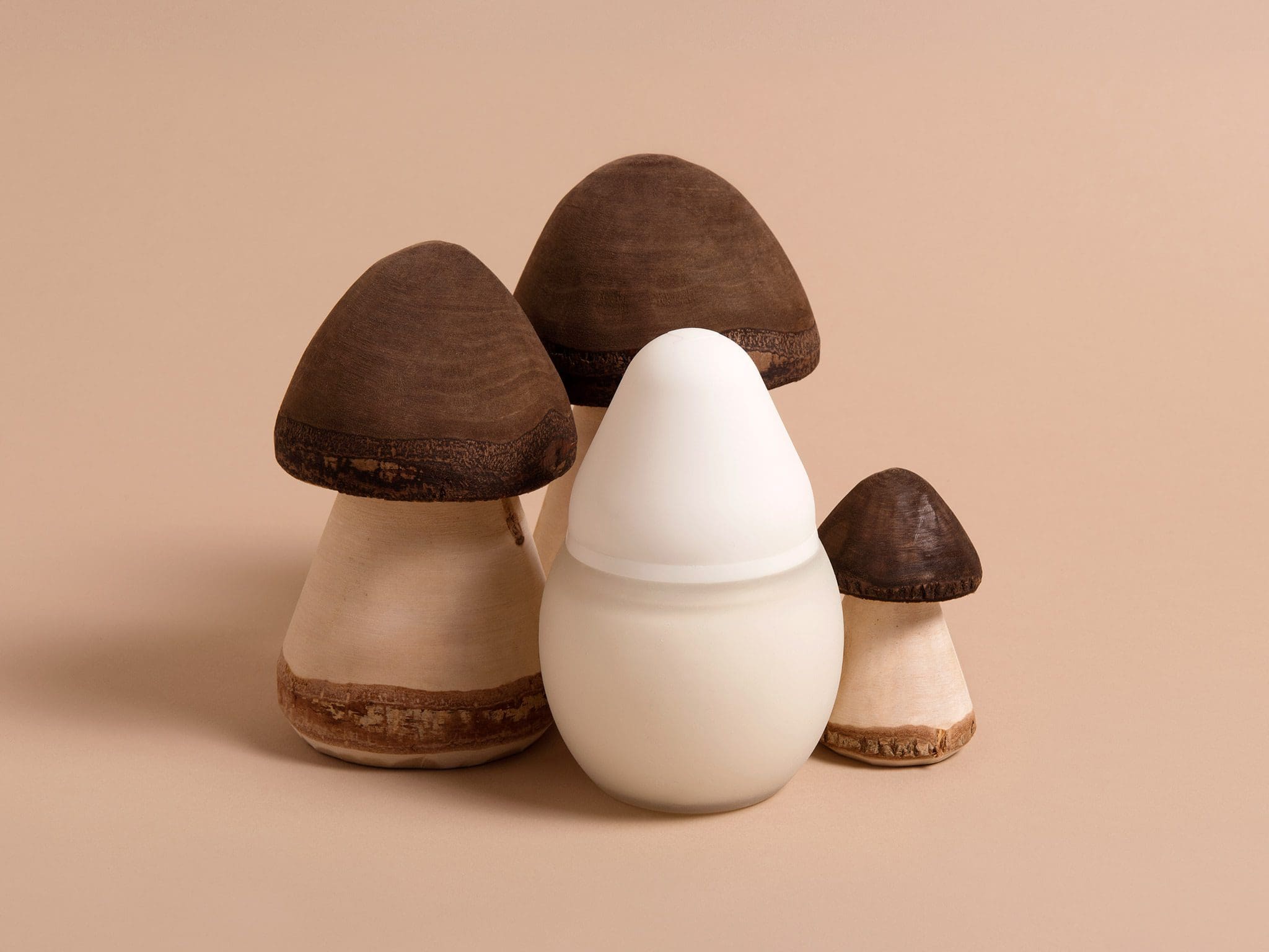 photographie de Colombe Clier: champignons viennent jouer et mettre en valeur les courbes du BibRond de Ehlée, sous la direction de IchetKar