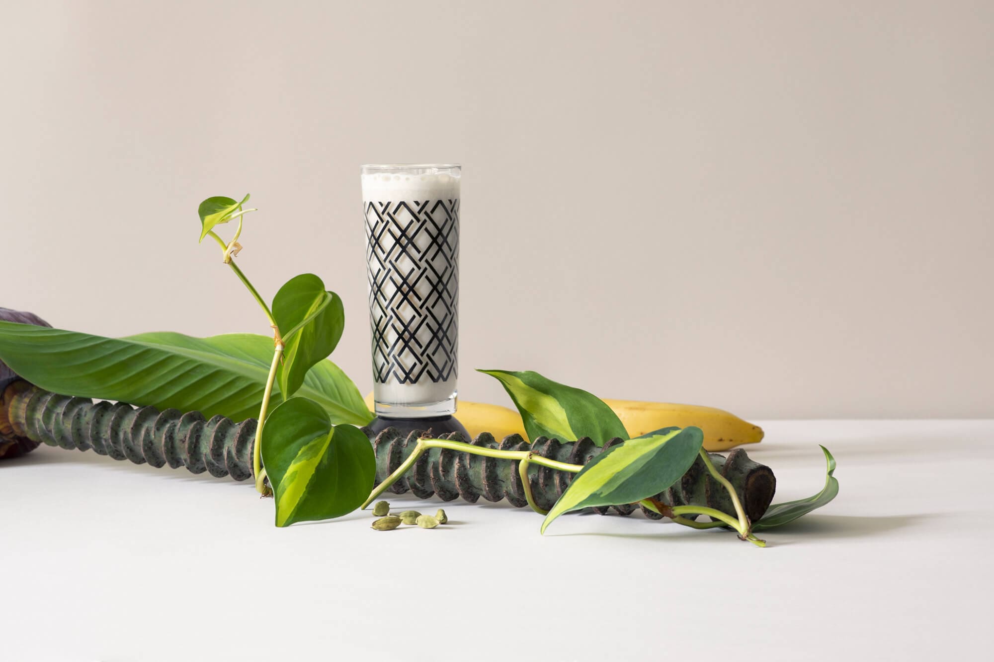 photographie de la serie lait et plantes par le studio ichetkar et virginie perocheau pour la milkfactory