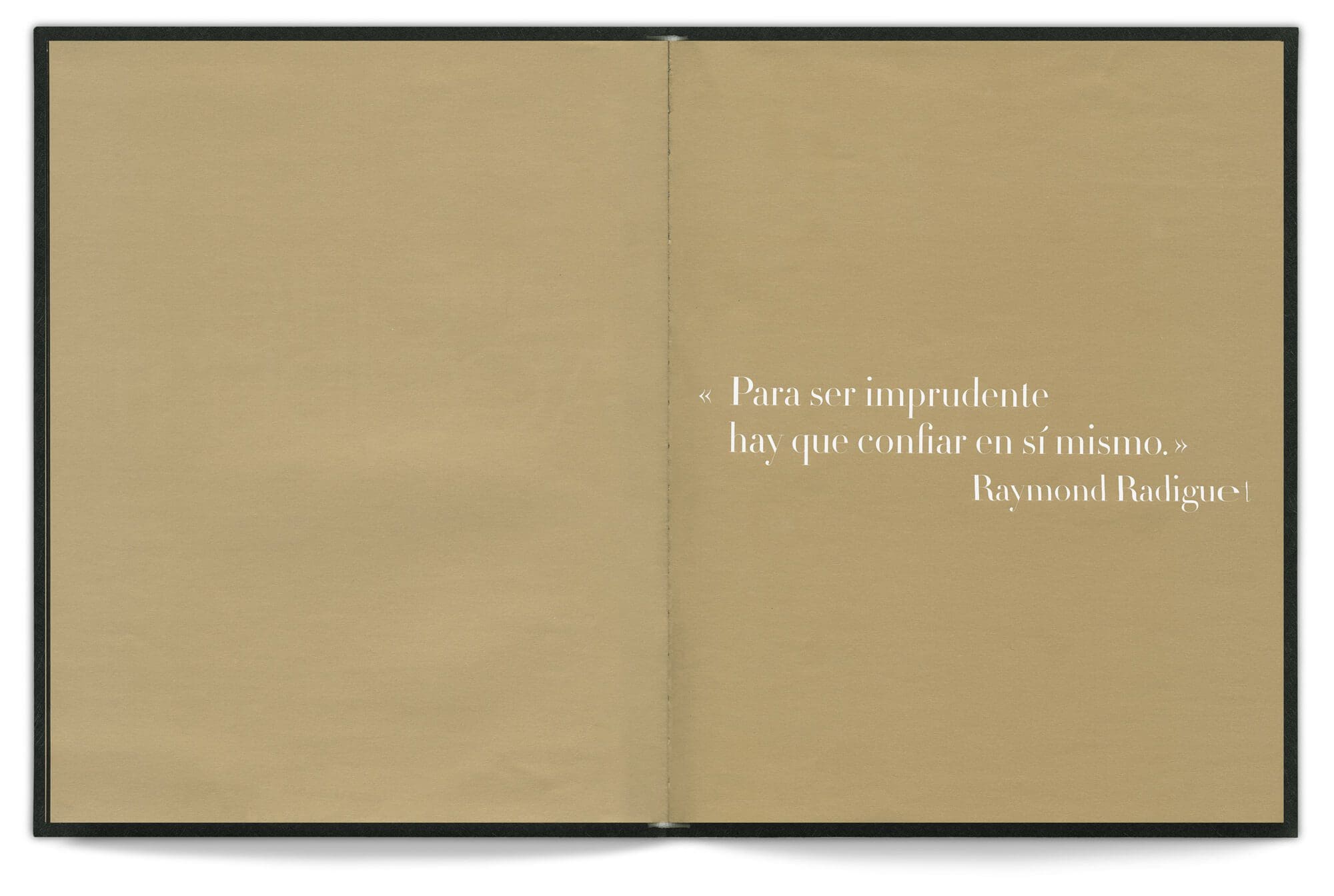 Une citation de Raymond Radiguet dans le livre d'Emmanuel Pucault, fondateur de Chic by accident, design editorial IchetKar