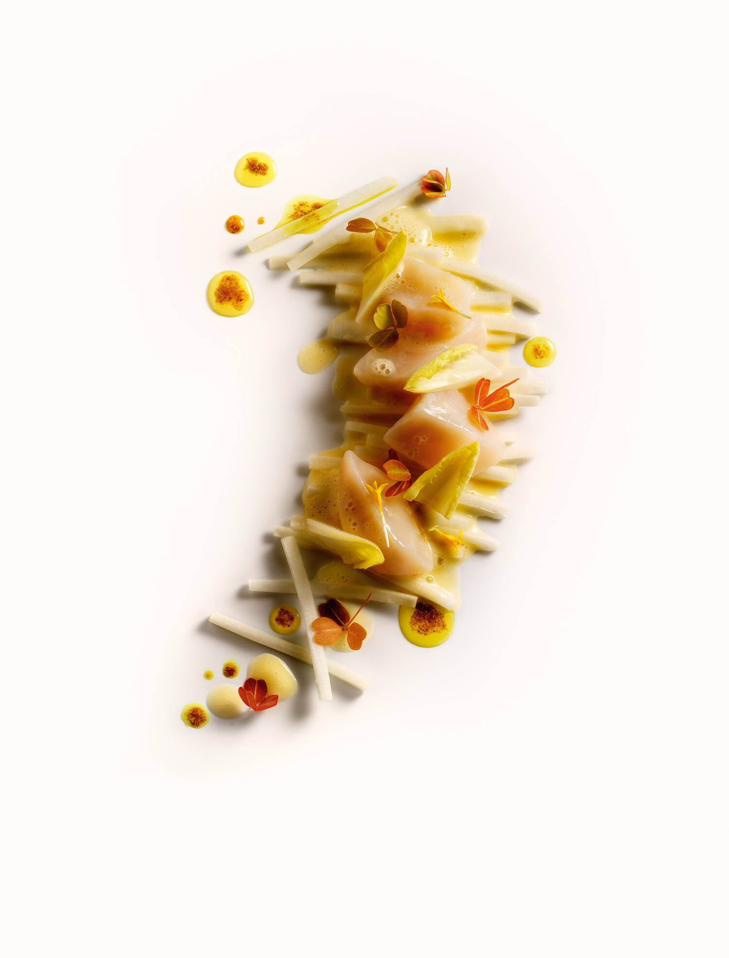 Les photographies de Peter Lipmann sous la direction artistique d'IchetKar
