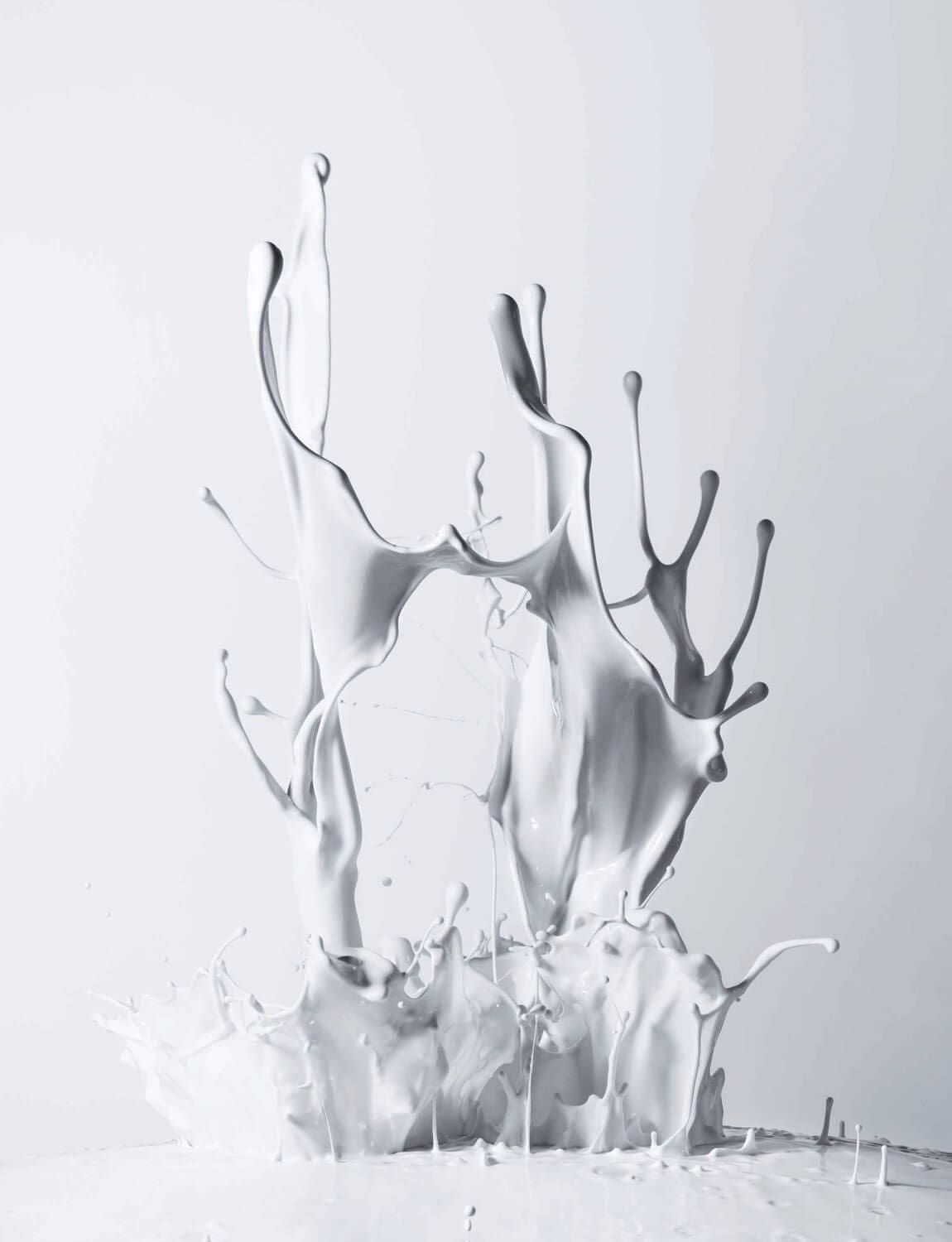 explosion Lait Jean-jacques pallot cniel