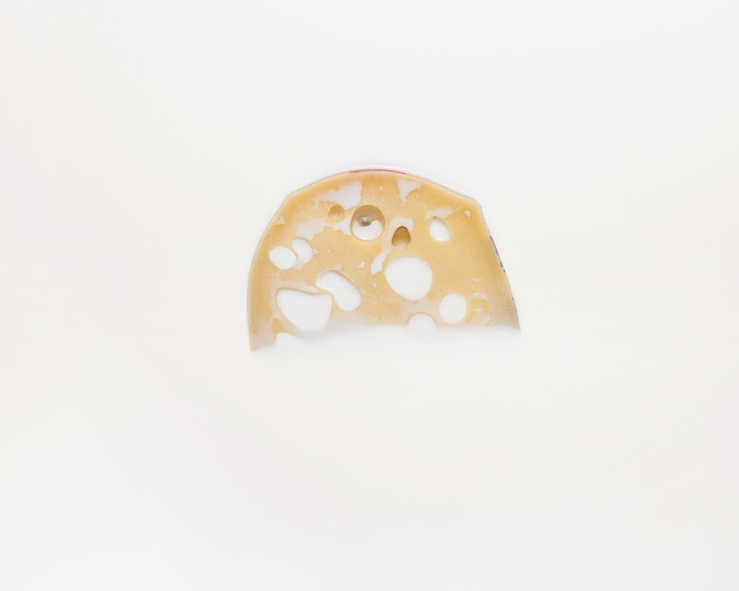 Pour le catalogue et l'exposition LAC, lichetkar retrouve Colombe clier à la photographie et se charge de la direction artistique