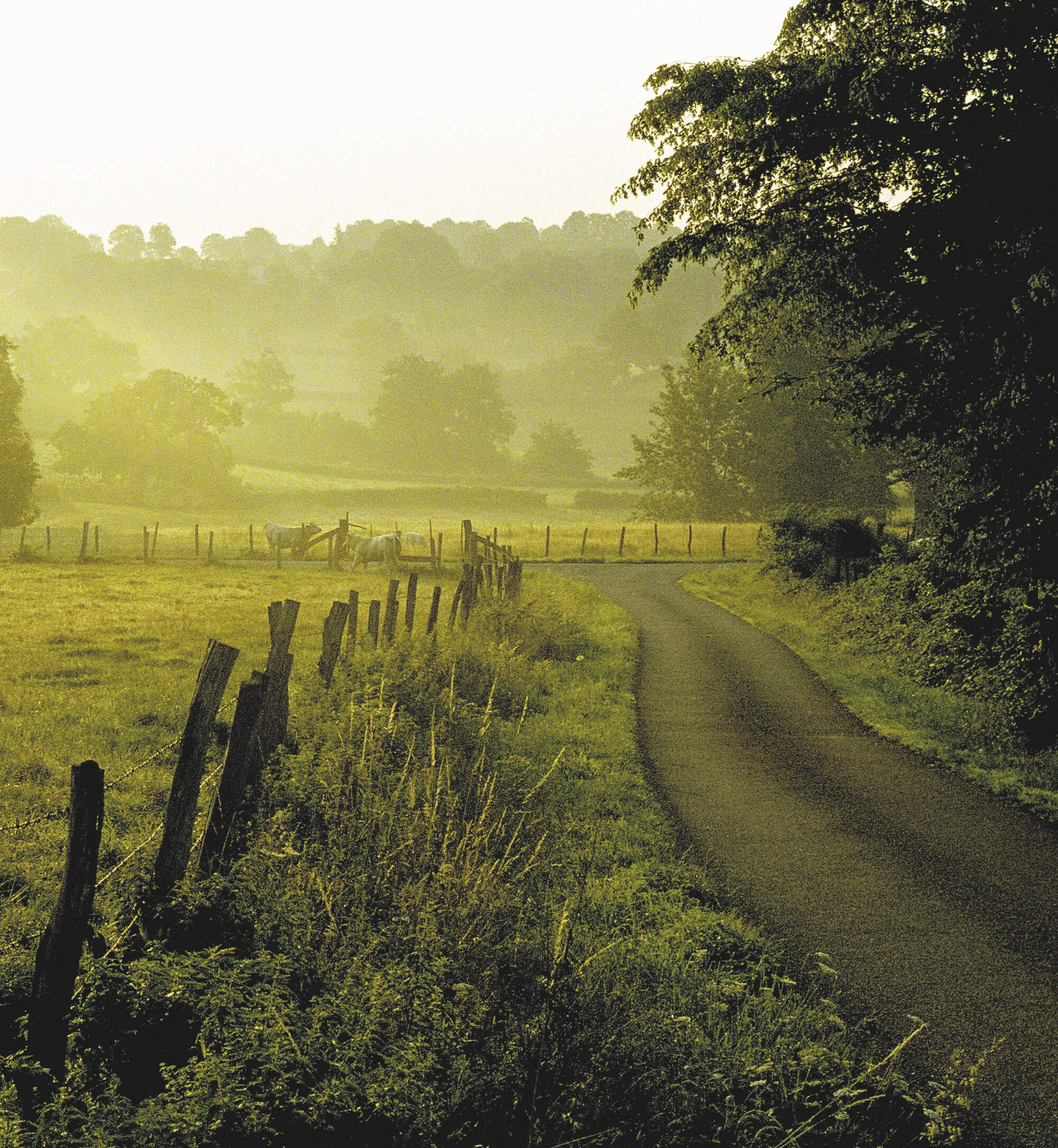 Direction artistique des paysage pour la brochure de l'auberge Trois Gros