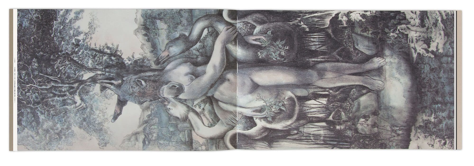 Zoom dans les détails du dessins d'Hélène Muheim, direction artistique IchetKar