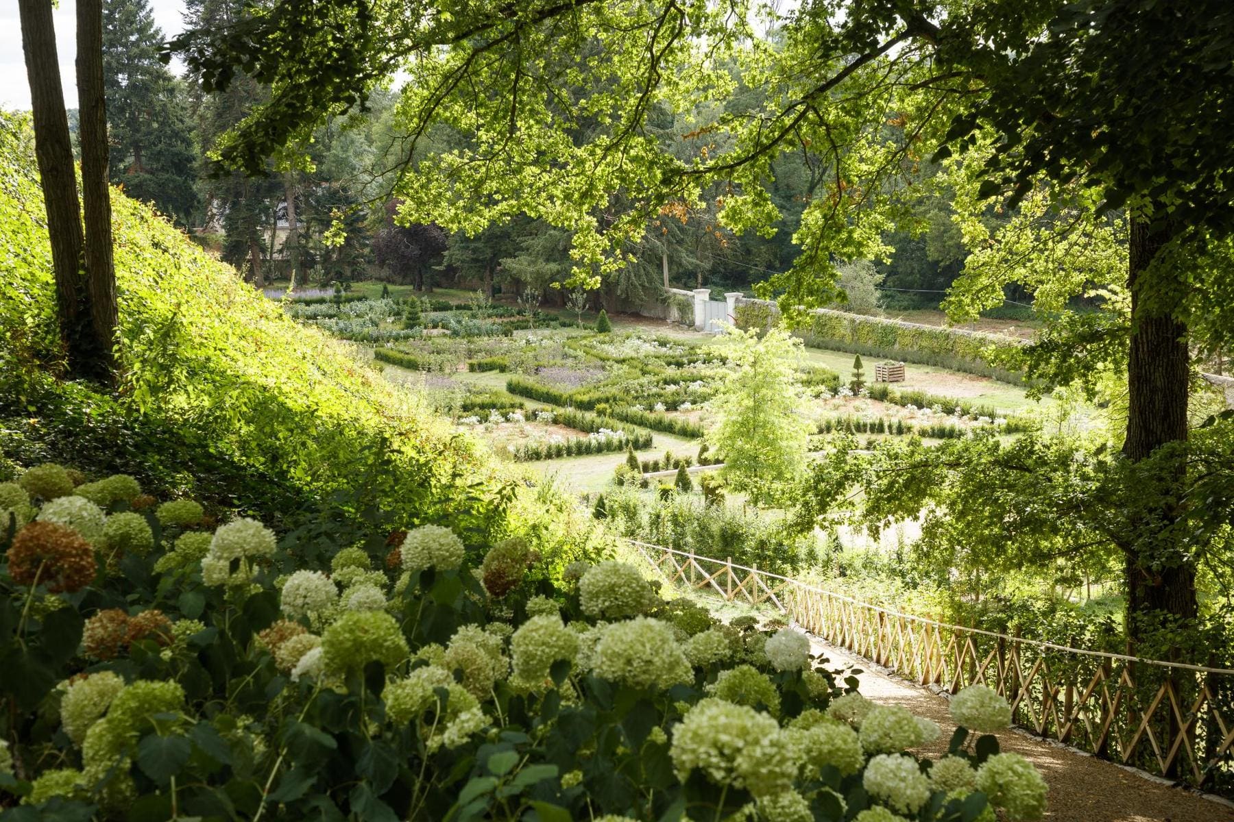 chateau-louise-de-la-valliere-faune-et-flore-001