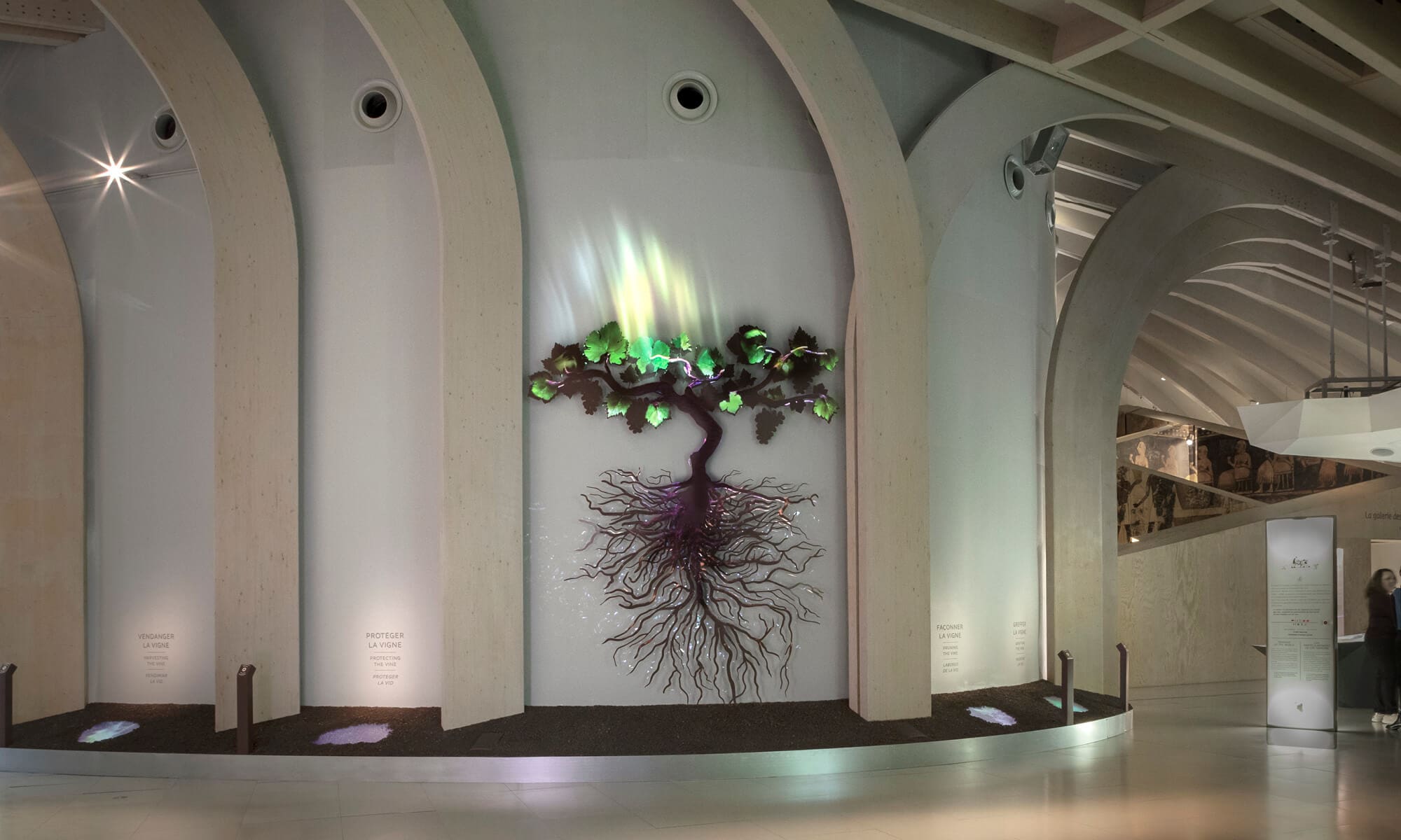 animation sur le le nouveau cep de la cite du vin de bordeaux dessiné par ichetkar en fine collaboration avec clemence farrell