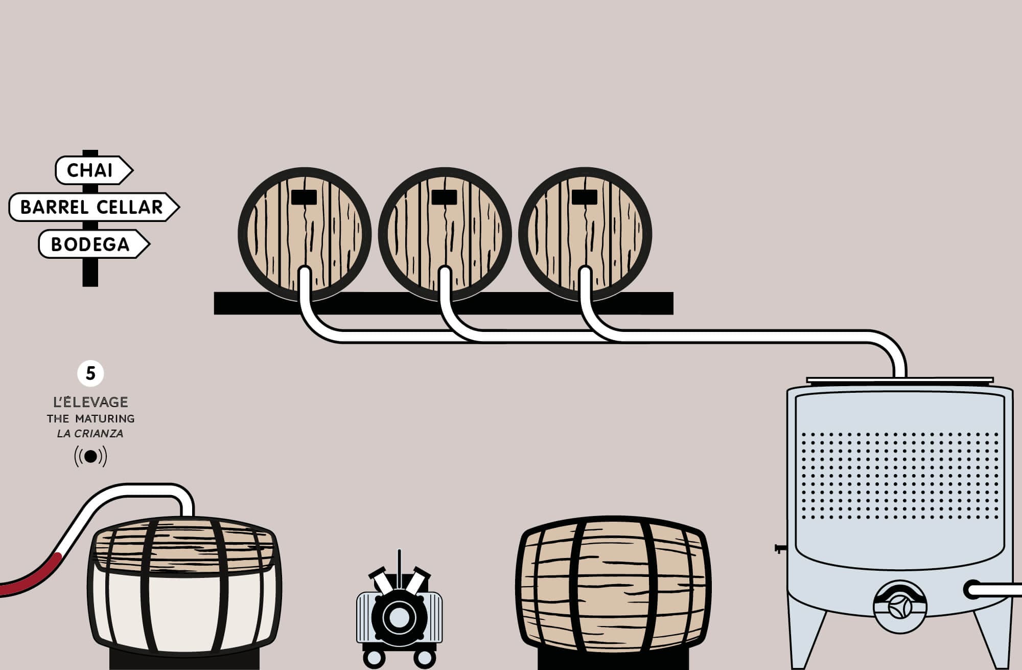 Story board du chai où se déroule l'élevage du vin, film réalisé par IchetKar pour la cité du vin de bordeaux