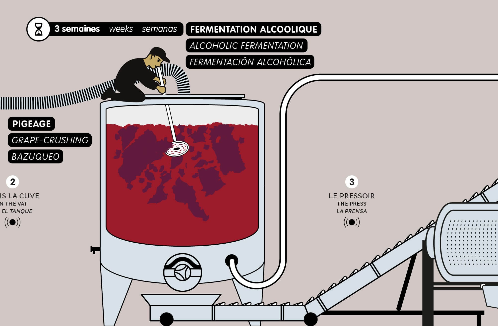 planche de story board sur le pigeage pour le film de l'élaboration du vin pour la cité du vin à Bordeaux, design IchetKar