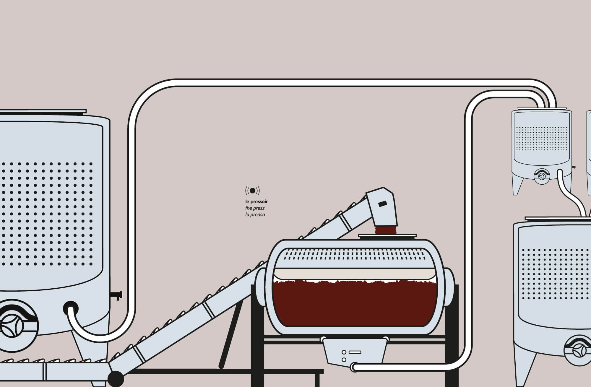 Story board montrant le pressoir en action pour récupérer le vin de presse, planche réalisée pour le film de l'élaboration du vin pour la cité du vin à Bordeaux, design IchetKar