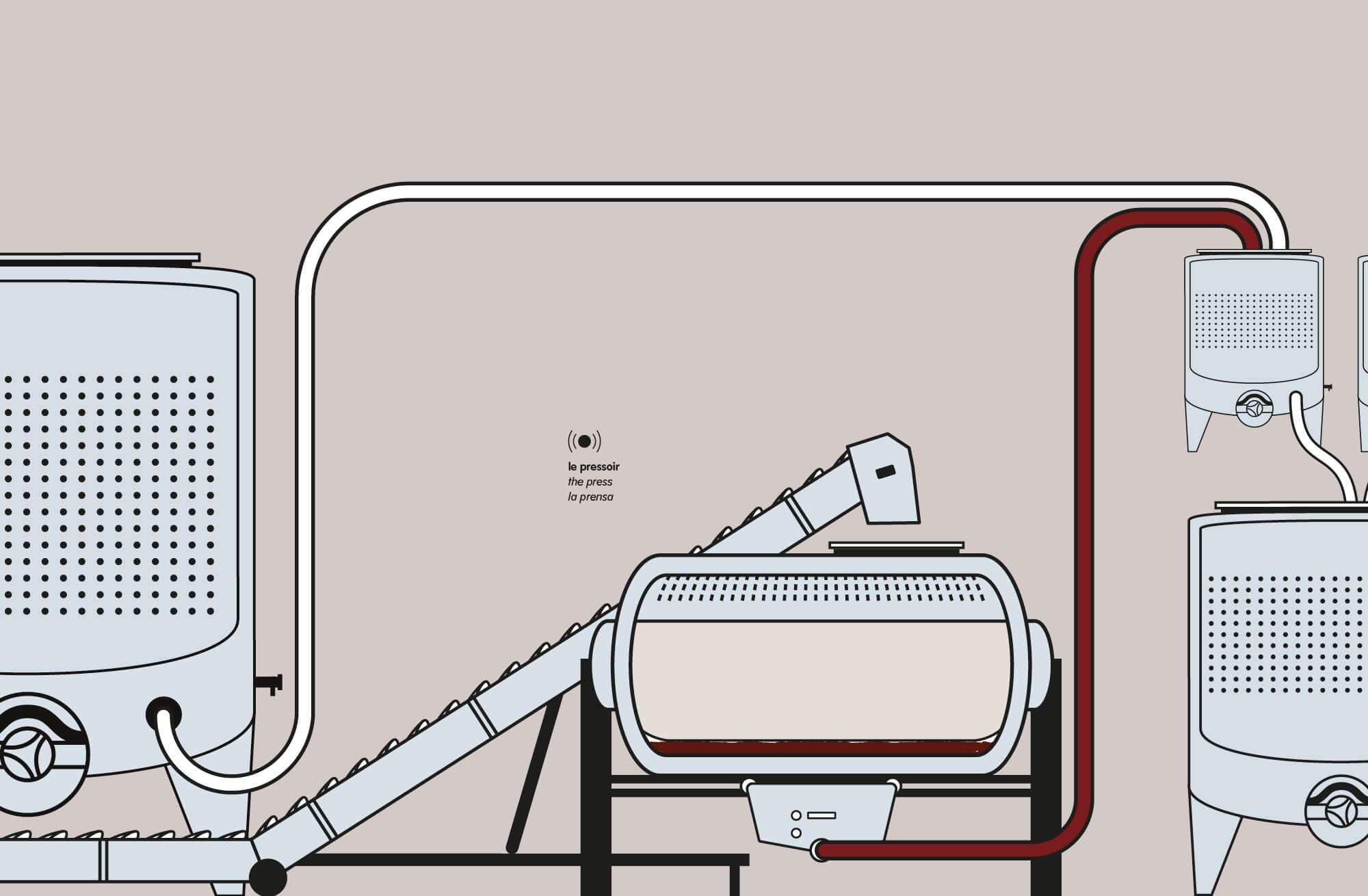 Sstory board montrant le vin de presse s'écouler dans les cuves d'assemblages, design réalisé pour le film de l'élaboration du vin pour la cité du vin à Bordeaux, illustration IchetKar