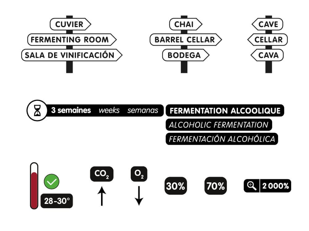 IchetKar choisit est une typographie rounded pour le film pédagogique de l'élaboration du vin pour la cité du vin de bordeaux
