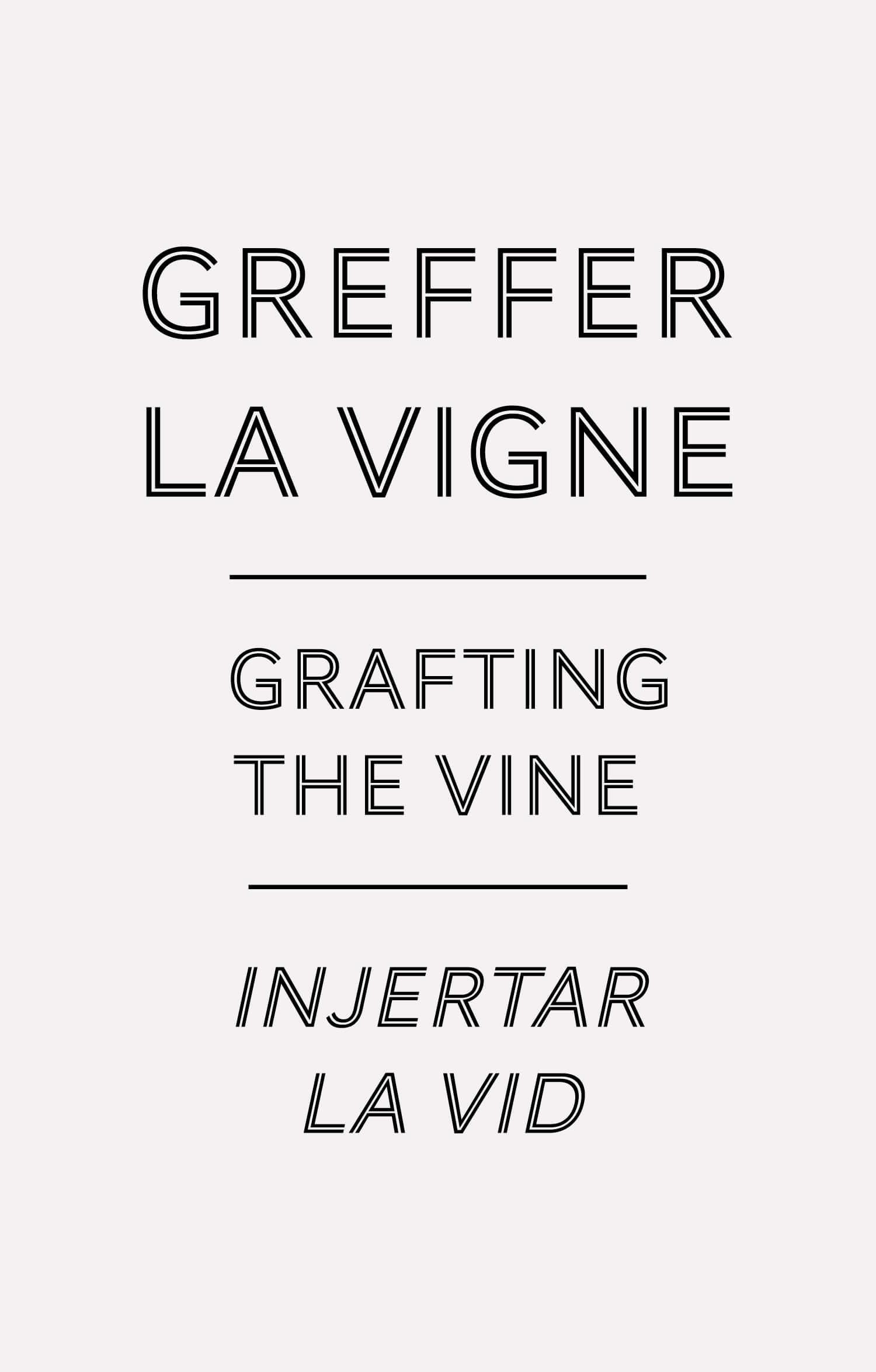 'greffer la vigne' les cartels dans leurs plus imple appareils pour la cité du vin de bordeaux, design ichetkar