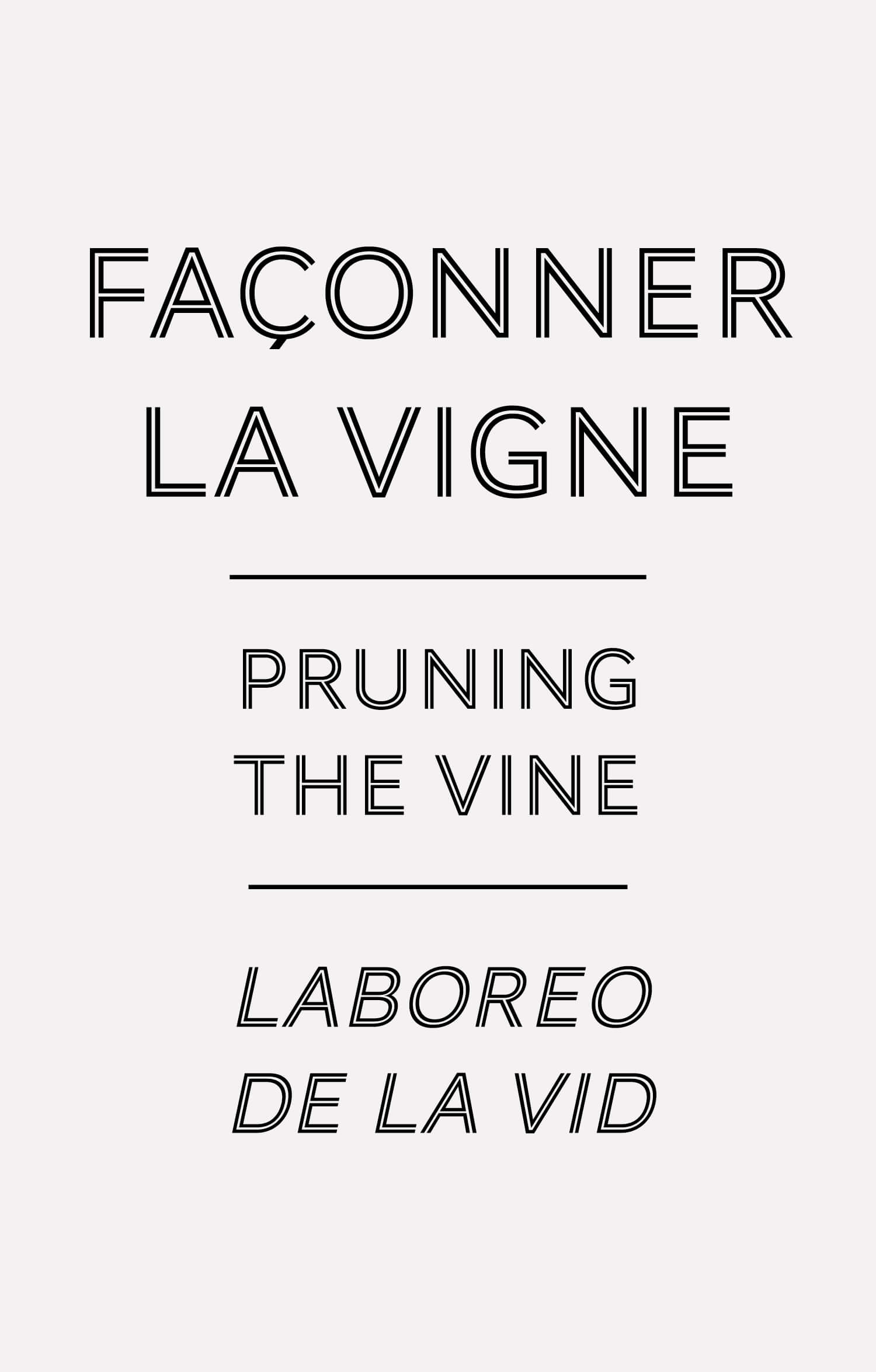 'faconner la vigne' les cartels dans leurs plus imple appareils pour la cité du vin de bordeaux, design ichetkar