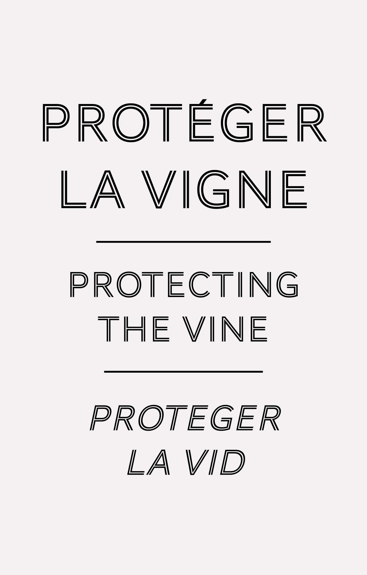'proteger la vigne' les cartels dans leurs plus imple appareils pour la cité du vin de bordeaux, design ichetkar