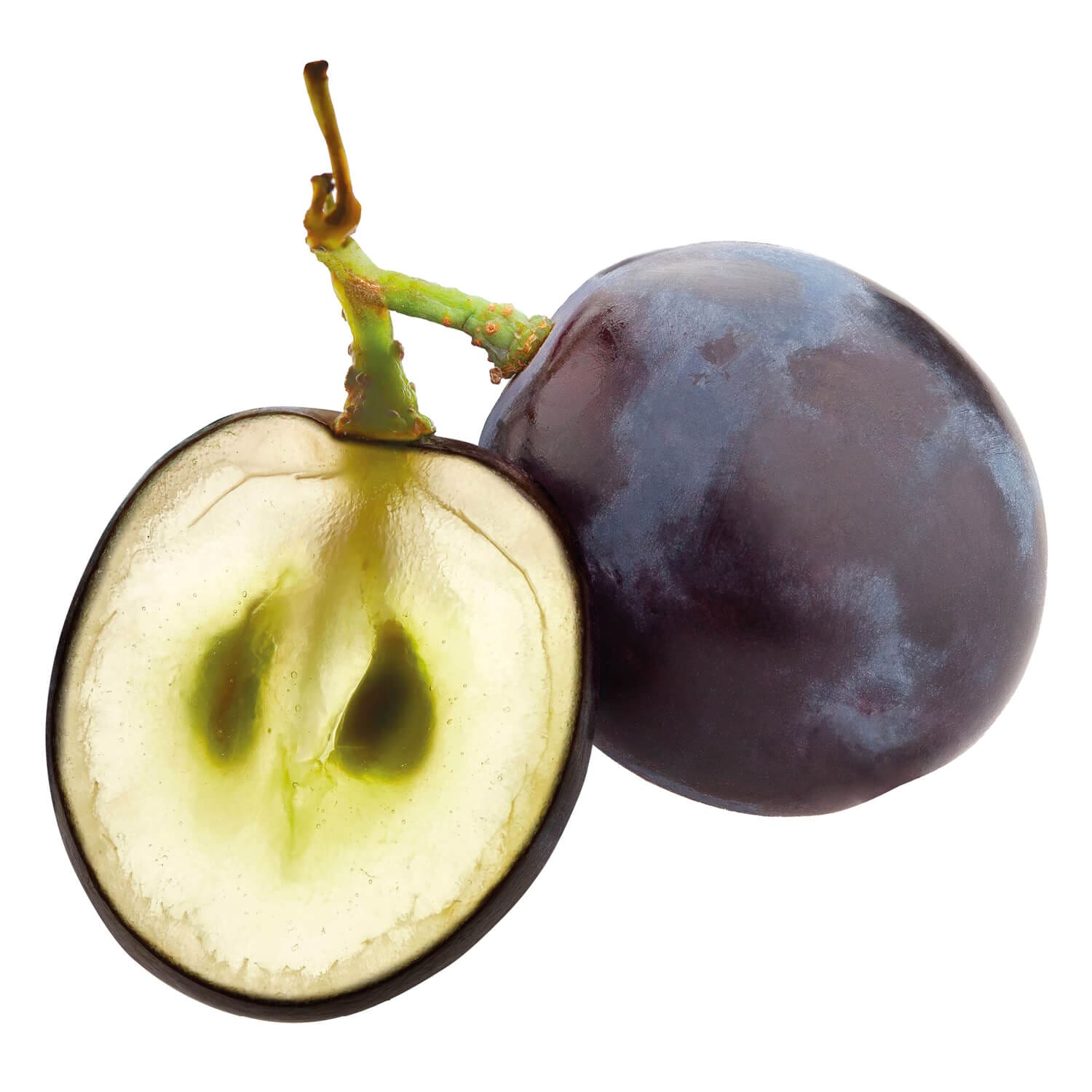 Le grain de raisin géant en coupe, design pédagogique by IchetKar