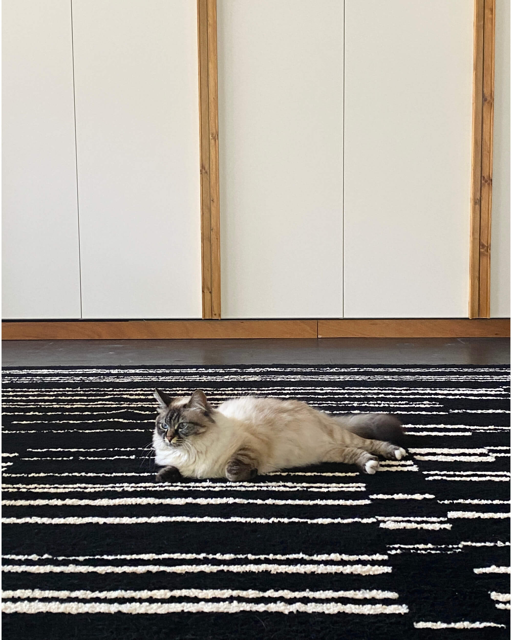 Chat sur tapis. Julia Trofimova, designer textile fait partie du studio Radical futur au sein de l’exposition in situ dont le commissariat de la 7e édition de la Biennale Émergences est confié aux créatrices Helena Ichbiah/ Ichetkar et Véronique Maire