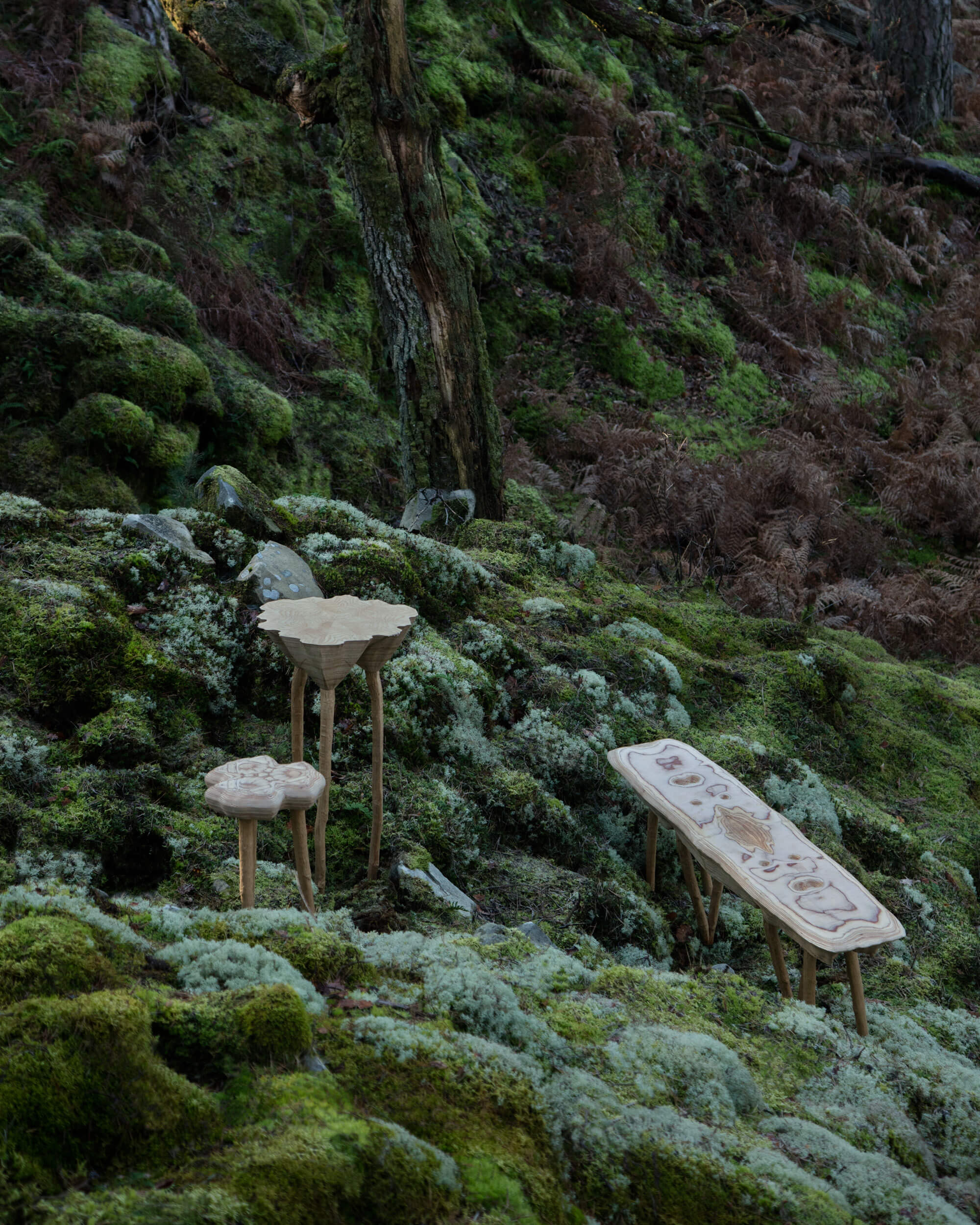 Biennale-emergences-exposition-In-situ-studio-radical-futur-3