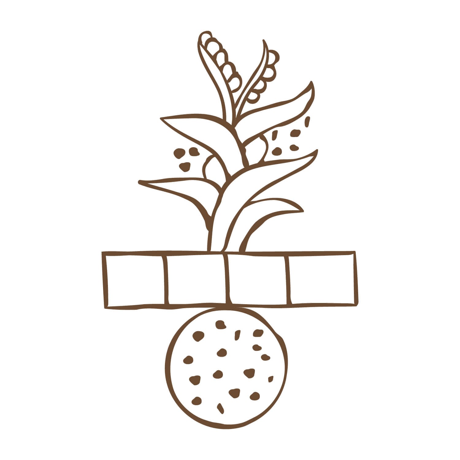 Le hiéroglyphe "Health and Wellbeing" signe de feu par Ichetkar est un symbole aztèque empreint de la culture mexicaine, créé pour le spa Esperanza.