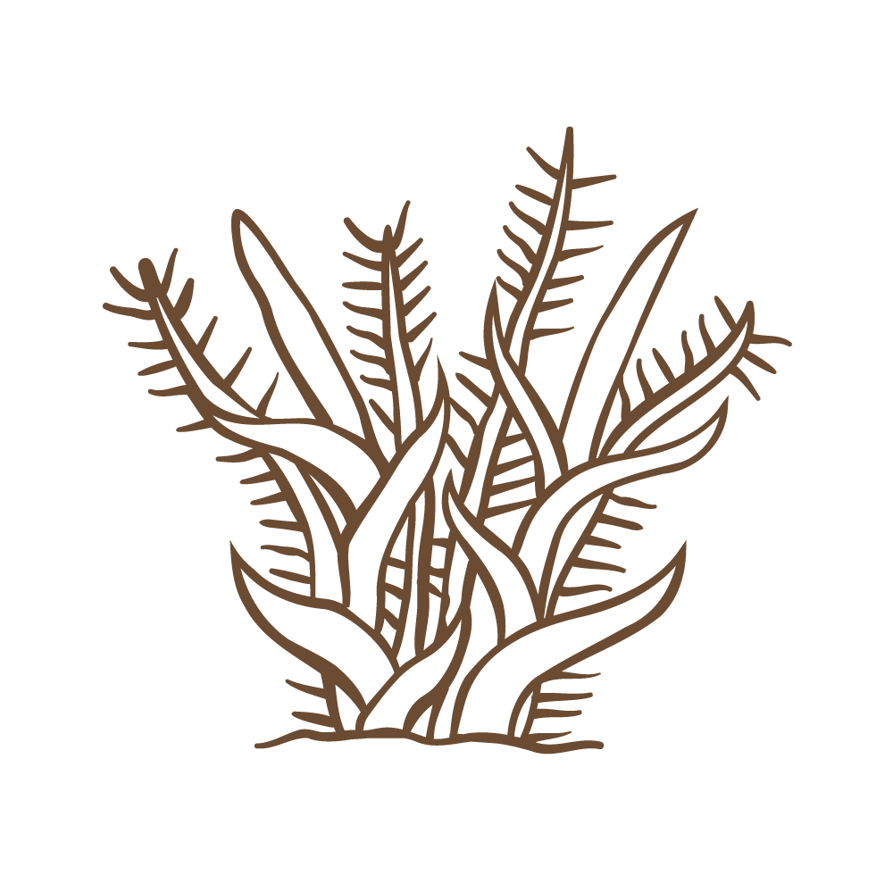 Ich&kar illustre Mère nature en s'inspirant des dessins aztèques.