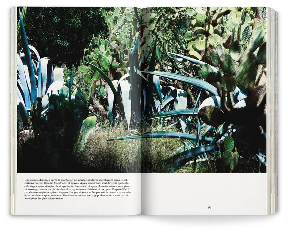 Photographie de Marie Taillefer du jardin Dar Igdad au Maroc réalisé par Ossart et Maurières, maquette et mise en page IchetKar