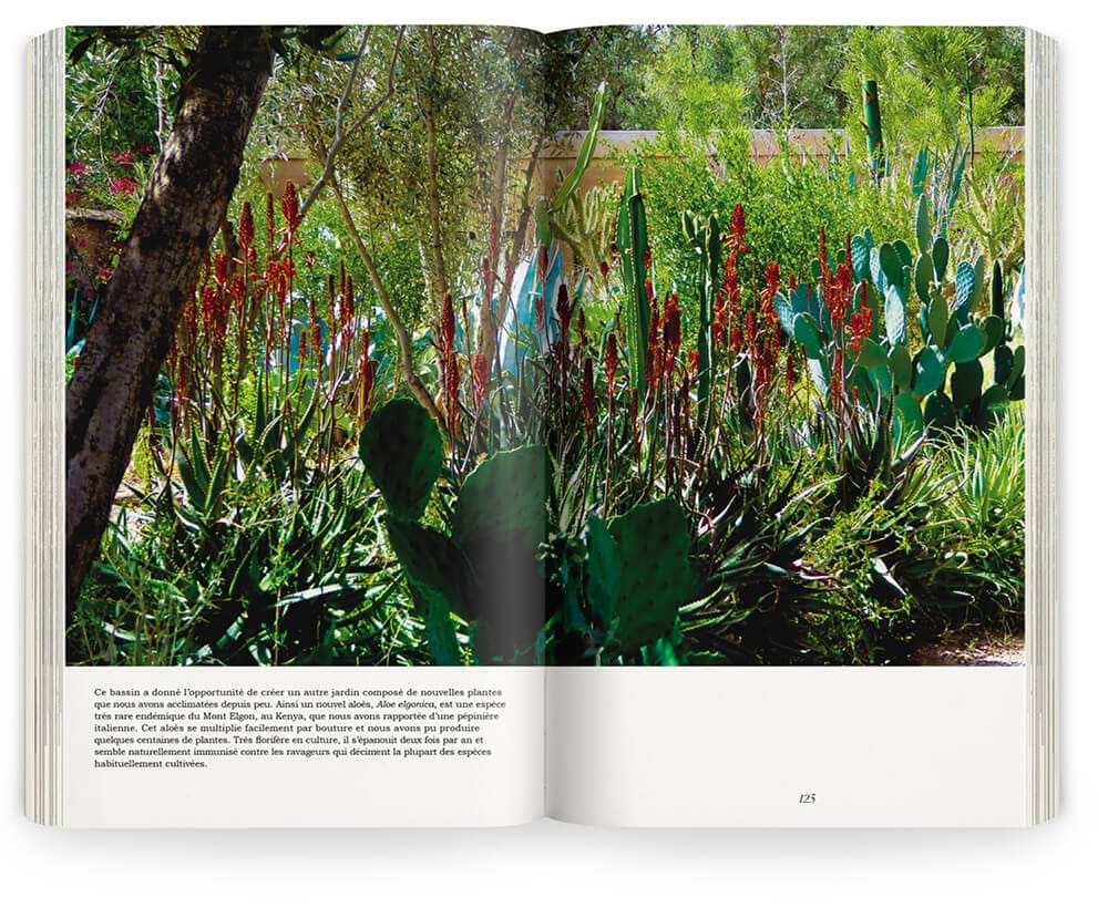 Photographie du jardin de l'Orange Bleue au Maroc réalisé par Ossart et Maurières, maquette et mise en page IchetKar