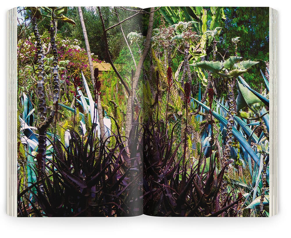 Photographie de Marie Taillefer du jardin Dar Igdad au Maroc réalisé par Ossart et Maurières, maquette et mise en page IchetKar