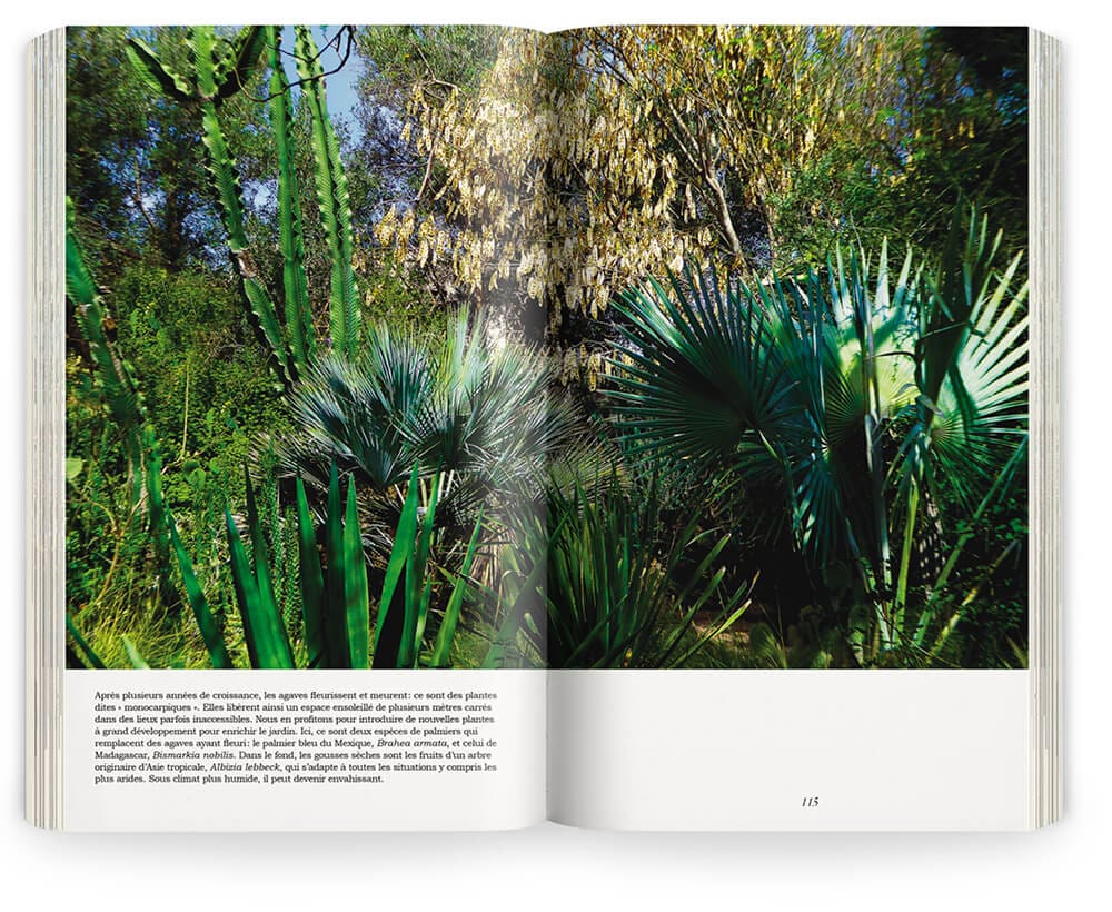 Photographie de Marie Taillefer du jardin de l'Orange Bleue au Maroc réalisé par Ossart et Maurières, maquette et mise en page IchetKar