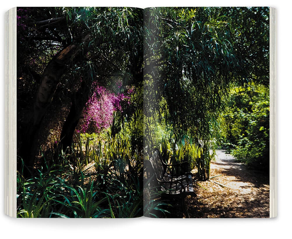 Photographie du jardin d'Oum Hani au Maroc par Marie Taillefer, réalisé par les paysagistes Ossart et Maurières, édition Pyramyd, graphisme IchetKar