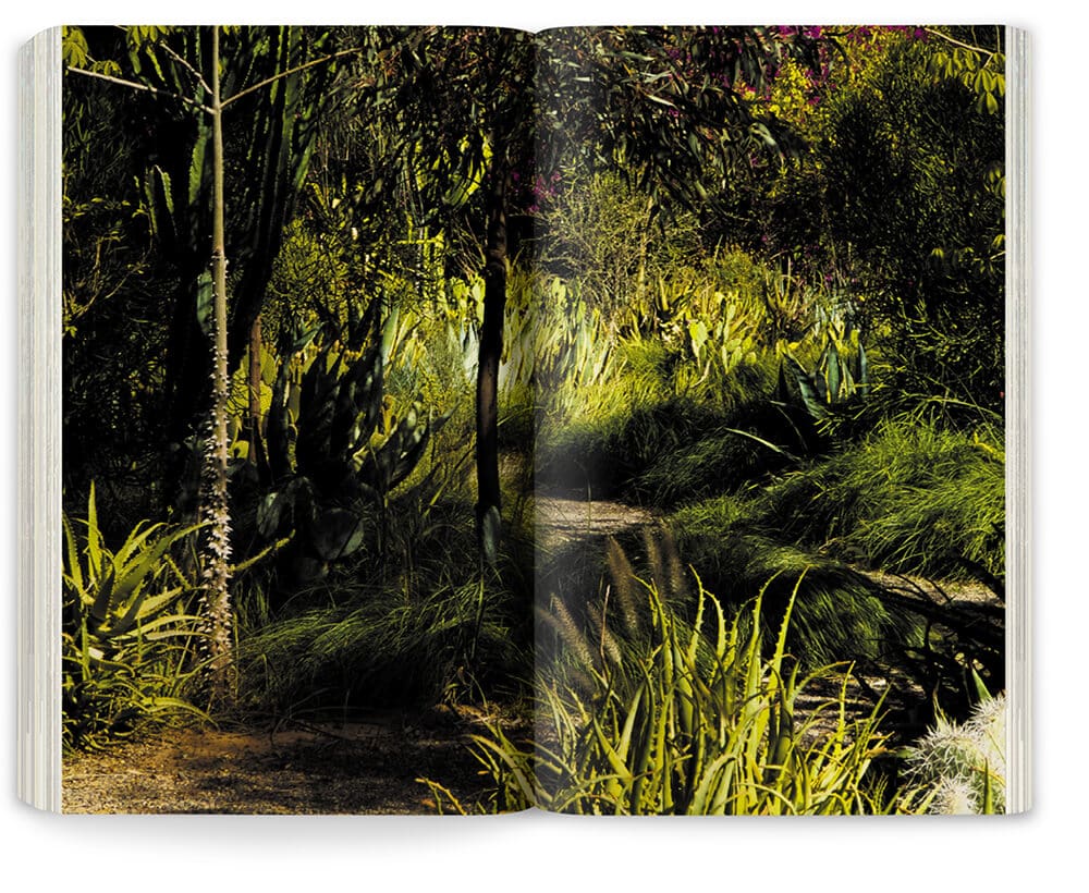 Le jardin d'Oum Hani au Maroc photographié par Marie Taillefer, est une réalisation des paysagistes Ossart et Maurières, graphisme IchetKar