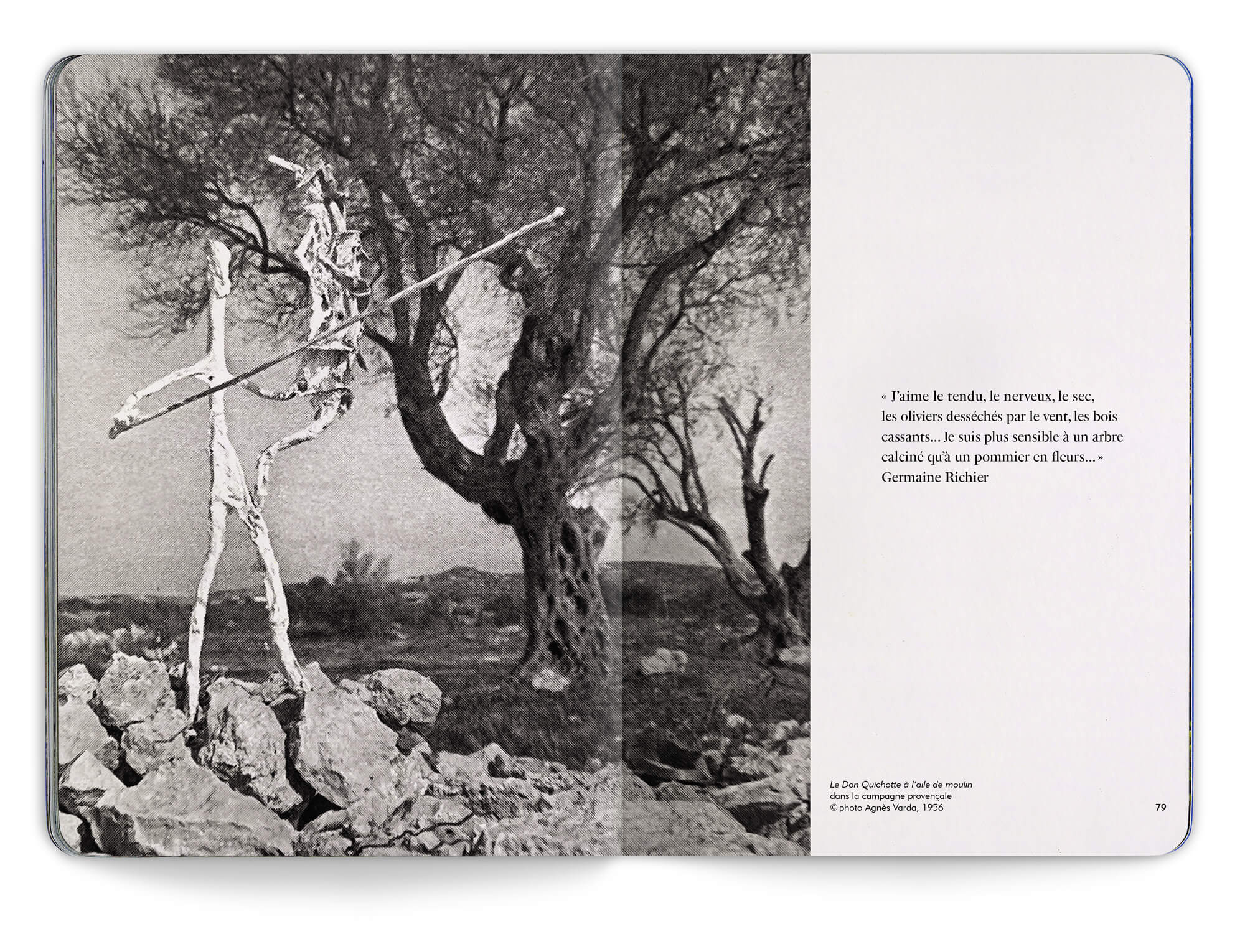 Photographie de la sculpture de Germaine Richier, Le Don Quichotte à l'aile de moulin, photographié par Agnès Varda et présenté dans la monographie de l'artiste, direction artistique IchetKar