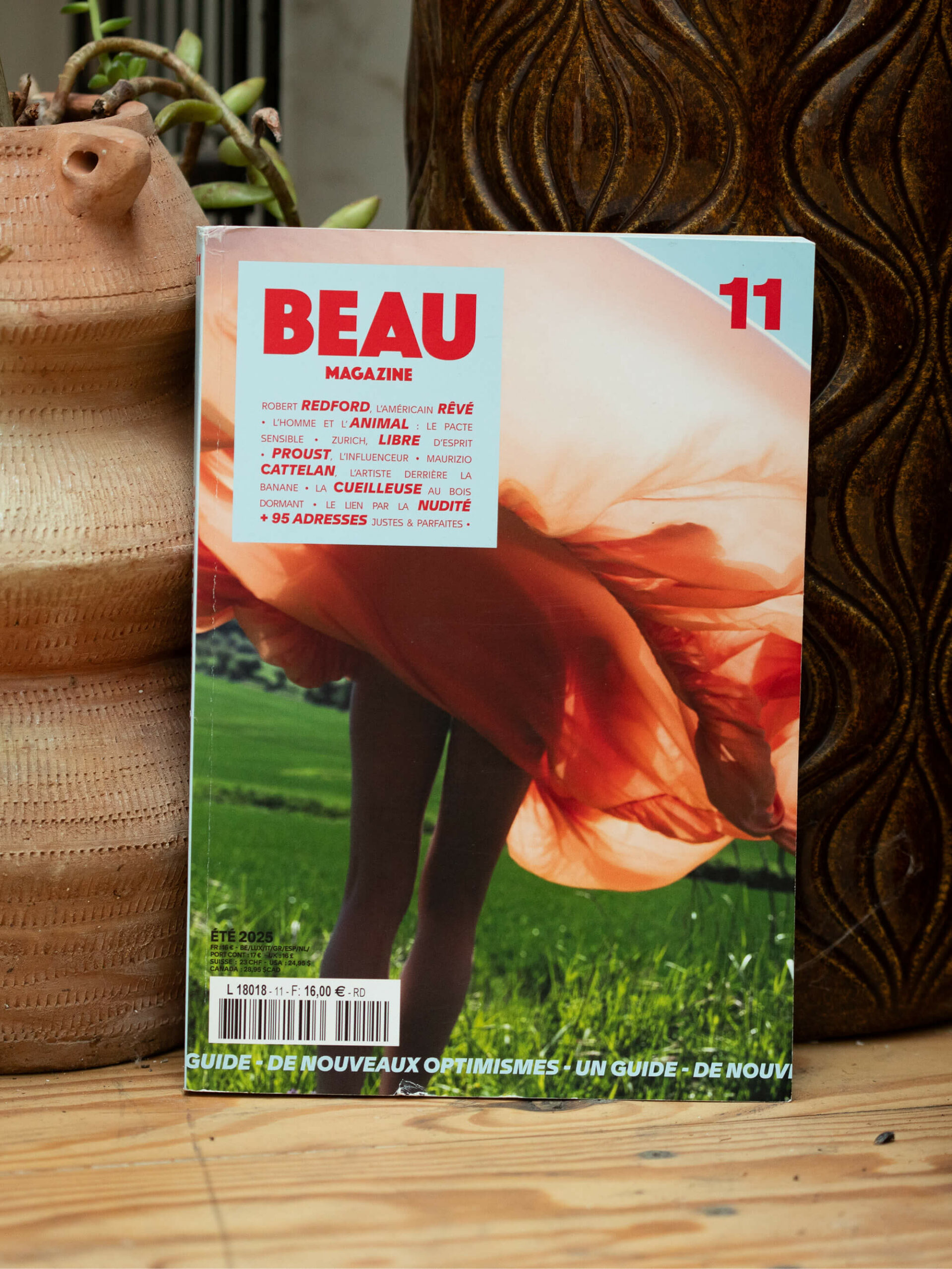 colombo-de-clémence-farrel-BEAU-magazine-recette-ichetkar2