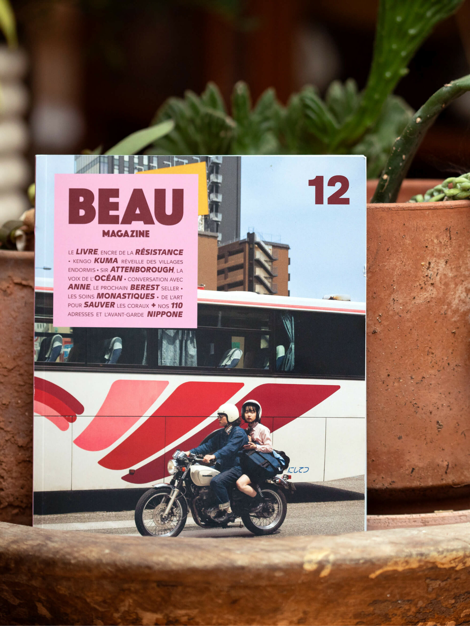 colombo-de-clémence-farrel-BEAU-magazine-recette-ichetkar2