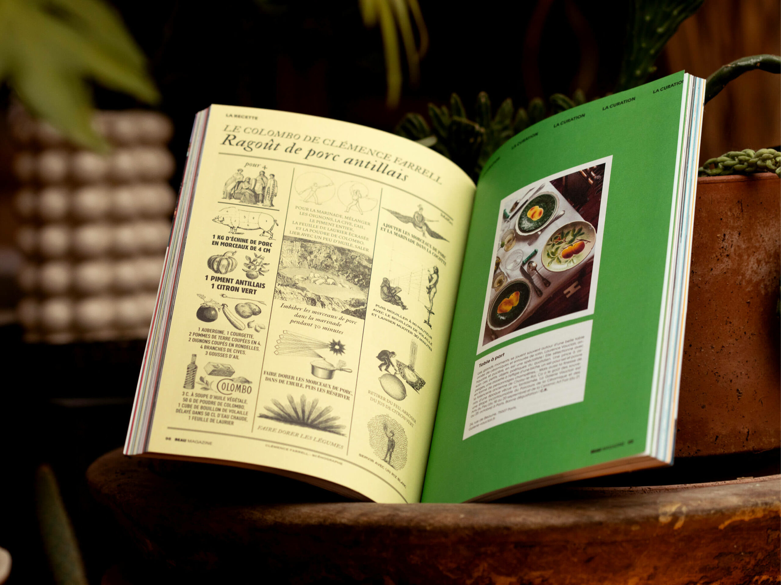 colombo-de-clémence-farrel-BEAU-magazine-recette-ichetkar4