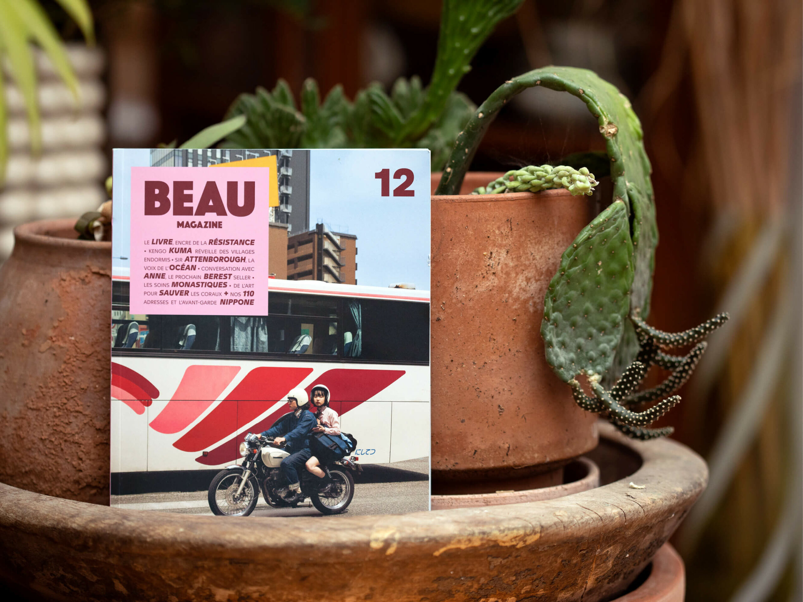 colombo-de-clémence-farrel-BEAU-magazine-recette-ichetkar7