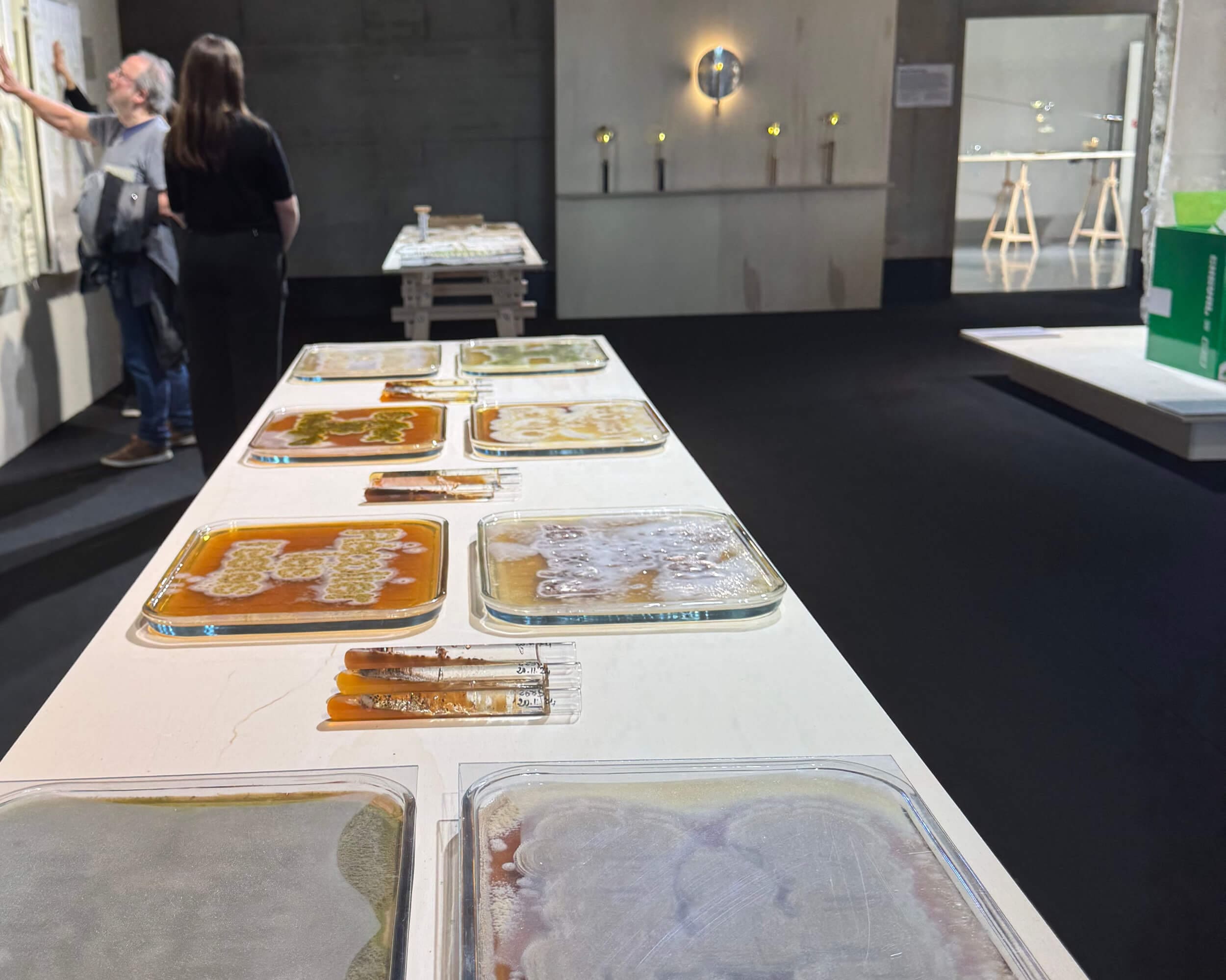 Biennale emergence 2025-FUTUR ARCHAIQUE-ichetkar-8