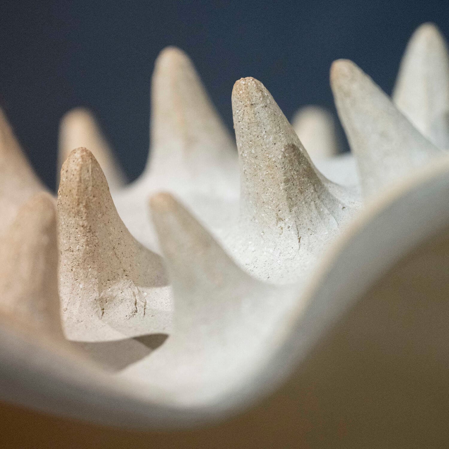 Biennale emergence 2025-NATURE CRUE-ichetkar-10